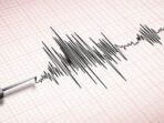 Gempa Bumi Bermagnitudo 4.6 Guncang Wilayah Bone Bolango, Go Gempa Bumi Bermagnitudo 4.6 Guncang Wilayah Bone Bolango, Go
